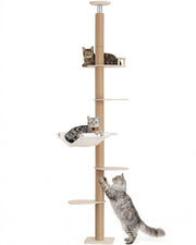 KinoTail vue avant du produit montrant l'arbre à chat installé et stable