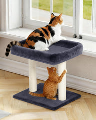 KinoTail base stable taille comparative pour sécurité pendant sauts