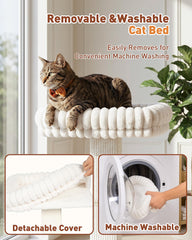 KinoTail coussin amovible lavable en machine, entretien facile