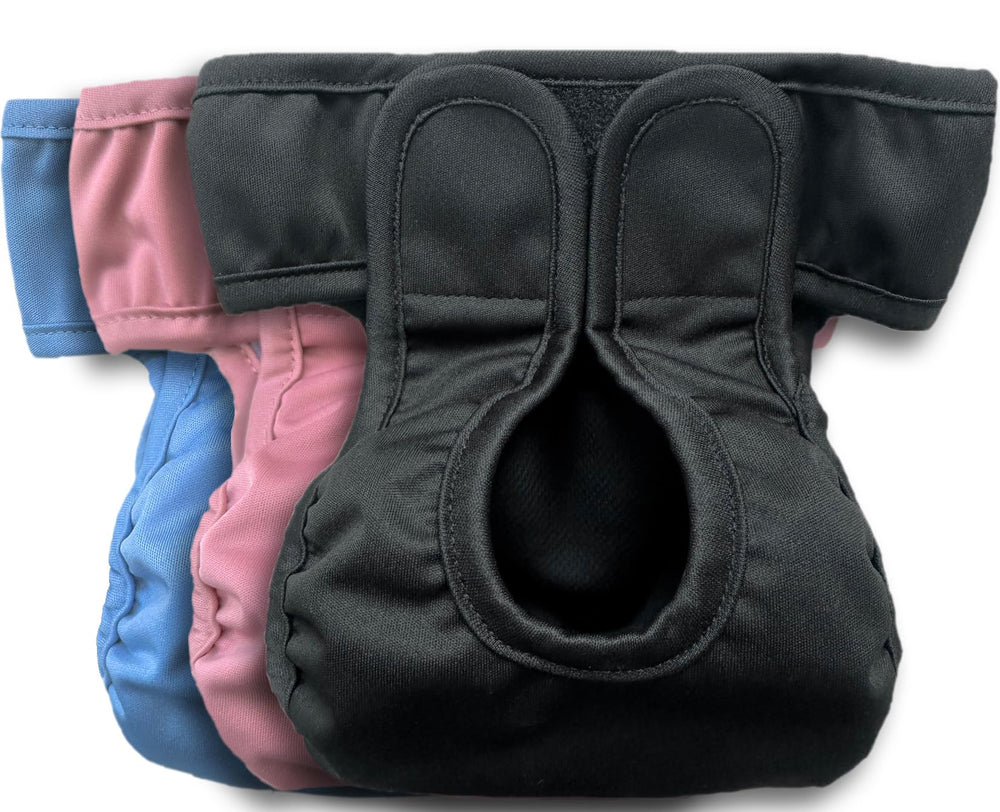 Kitty BumBums vue avant du produit protégeant les meubles