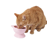 Kitty City bol surélevé lot avant montrant design moderne et gain de confort