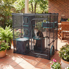 Kitty City gros plan de la maille nylon durable offrant visibilité et fraîcheur