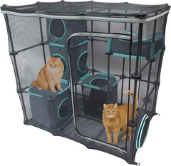 Kitty City vue face de l'enclos extérieur montrant sécurité et ventilation