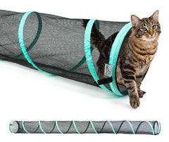 Kitty City tunnel extérieur face montrant ouverture et stabilité