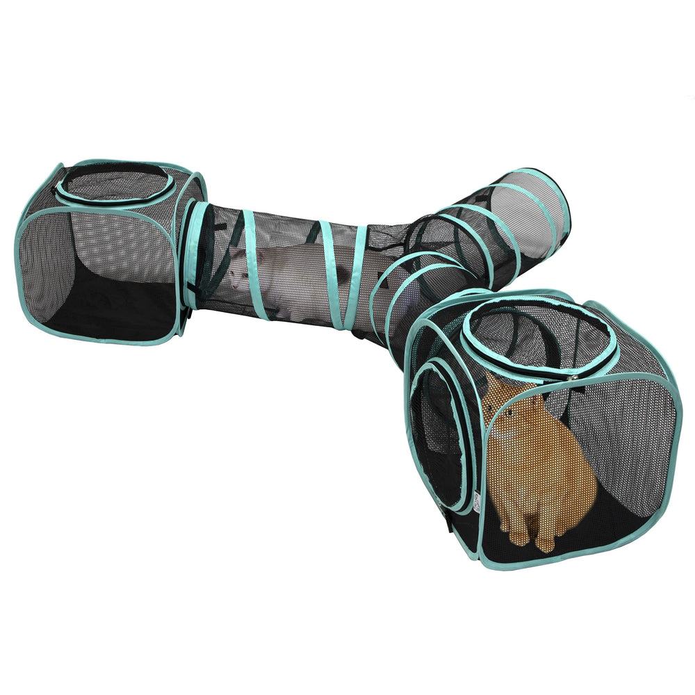 Kitty City tunnel vu de face montrant la structure ventilée pour jeu sécurisé