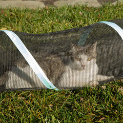 Kitty City gros plan sur fermeture éclair garantissant sécurité