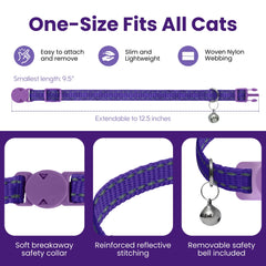 Kitty Kompass chat portant collier en usage réel pour apaisement