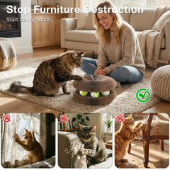 Kitty Kurlz maisonnette ouverte offrant refuge et confort
