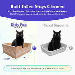 Kitty Poo Club chat utilisant le bac démontrant facilité d'emploi