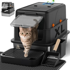 KittyLetto face avant ouverte montrant accès rapide et nettoyage facile