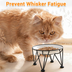Kitwinney deux bols et support couronne robustes pour stabilité