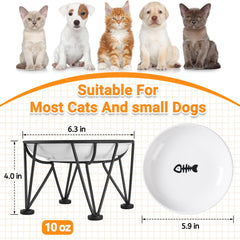 Kitwinney chat utilisant le bol surélevé pour repas plus confortable