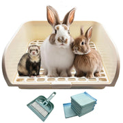 Kiwi & Mora bac face avant montrant confinement propre