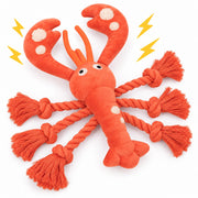 kmirepa homard devant l'emballage montrant couleur vive et design attractif