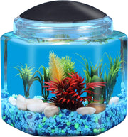 Koller Products vue face de l'aquarium hexagonal, design compact et attrayant