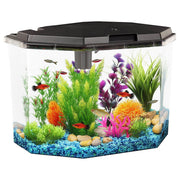Koller Products aquarium face avant montrant silhouette élégante et clarté