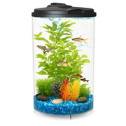 Koller Products vue de face montrant aquarium 360° et design moderne bénéfique esthétique