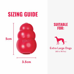 Chien jouant au KONG rebondissant montrant KONG et activité physique