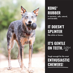 KONG Goodie Bone garni de friandises illustrant stimulation et occupation prolongée