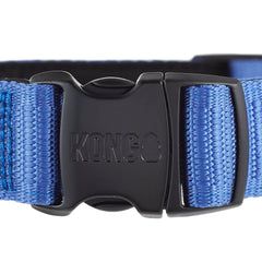 KONG collier porté sur chien montrant maintien et confort