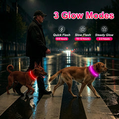Kpuplol collier en usage la nuit visible sur chien pour promenade sûre