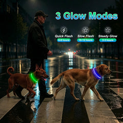 Kpuplol collier en usage promenade augmentant visibilité du chien la nuit