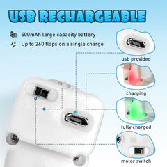 KreizyGo moineau à côté d'objet pour comparaison taille et ergonomie