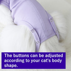 Kukaster Pet col plissé en dentelle assurant maintien discret