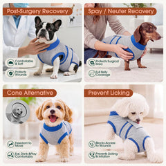 Chien portant Kuoser recovery suit reposant confortablement
