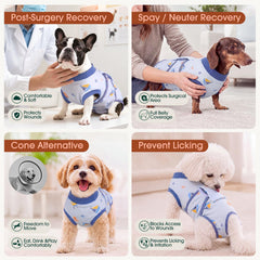 Kuoser chien portant la combinaison en intérieur, mobilité et calme préservés