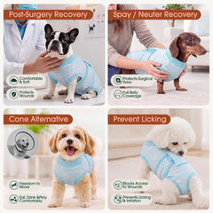 Kuoser chien portant la tenue en intérieur pour confort quotidien