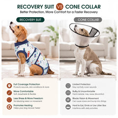 Kuoser en usage chien marchant librement, protection sans collerette inconfortable