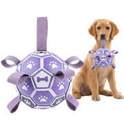Kylinsure balle vue avant montrant le design et la couleur violet pour jeux actifs