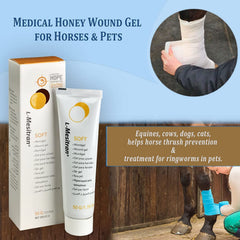 Gel L-Mesitran sous vet wrap démontrant compatibilité avec pansements