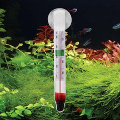 LABO Technology thermomètre en usage dans aquarium surveille confort des poissons