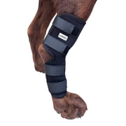 Labra attelle hock vue face montrant maintien et ajustement confortable