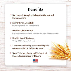 LAFEBER'S bol portion prêt à servir, facilite ration quotidienne