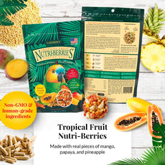 LAFEBER'S gros plan sur la texture Nutri‑Berries montrant morceaux de fruits réels