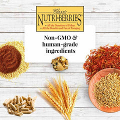 LAFEBER'S Nutri-Berrie à côté d'une pièce de monnaie pour échelle pratique