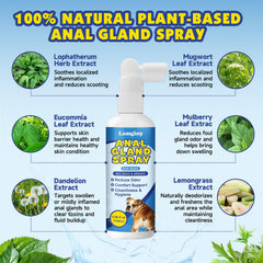 LAMGINY buse spray gros plan facilitant application sans contact