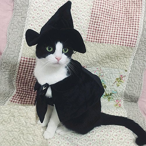 Lanyarco cape face avant montrant coupe et capuche, look festif confortable
