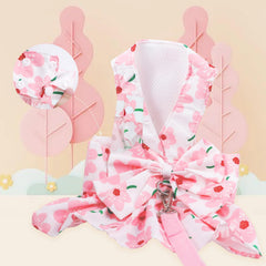 LAPOHI chien portant robe et laisse, promenades élégantes et sûres