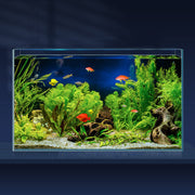 LAQUAL aquarium face avant montrant transparence et esthétique pour décoration