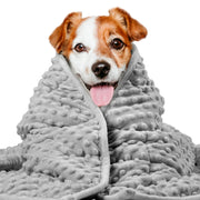 LaSyL couverture face avant montrant design et couleur apaisante