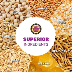 LEACH GRAIN gros plan sur la texture et les grains pour appétence accrue