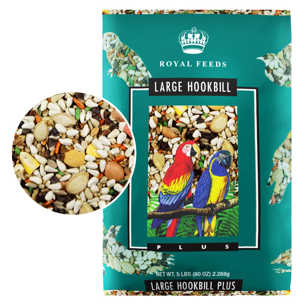LEACH GRAIN grand sachet face montrant emballage et stockage pratique