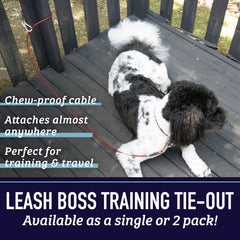 Leash Boss gros plan du mousqueton pivotant pour éviter les enchevêtrements