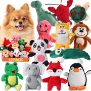 LEGEND SANDY face avant du paquet montrant 12 jouets, attractif pour l’achat