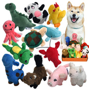 LEGEND SANDY pack face avant montrant variété animale et attractivité
