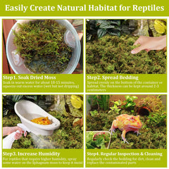 Legigo sphaigne en terrarium créant cachette humide et confort
